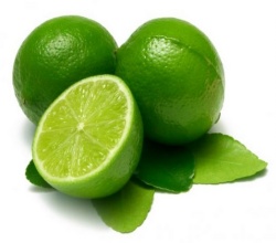 Lime Fidanı